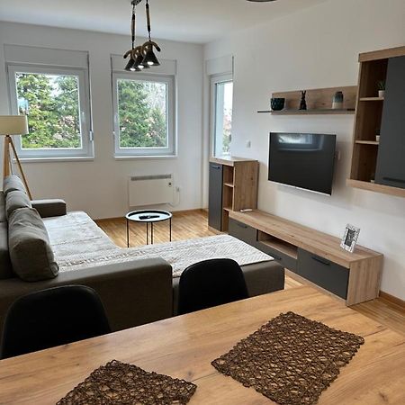 Apartment Aura 2 Belgrad Dış mekan fotoğraf