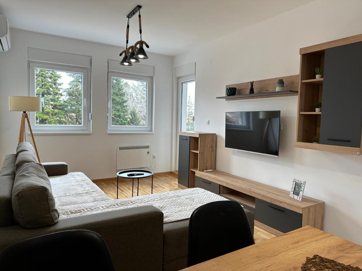 Apartment Aura 2 Belgrad Dış mekan fotoğraf